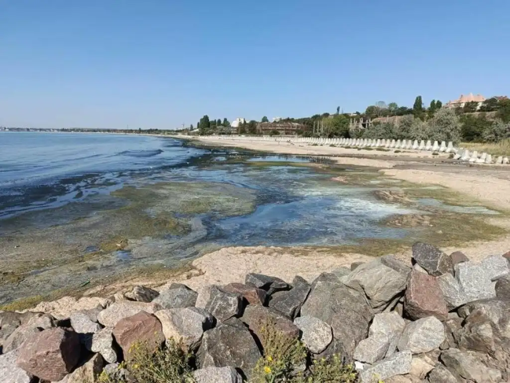 На узбережжі Одещини перевірили «почорніле море»: результати досліджень з’ясують у лабораторії