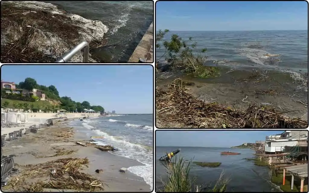 Під Одесою зафіксували критичне забруднення Чорного моря