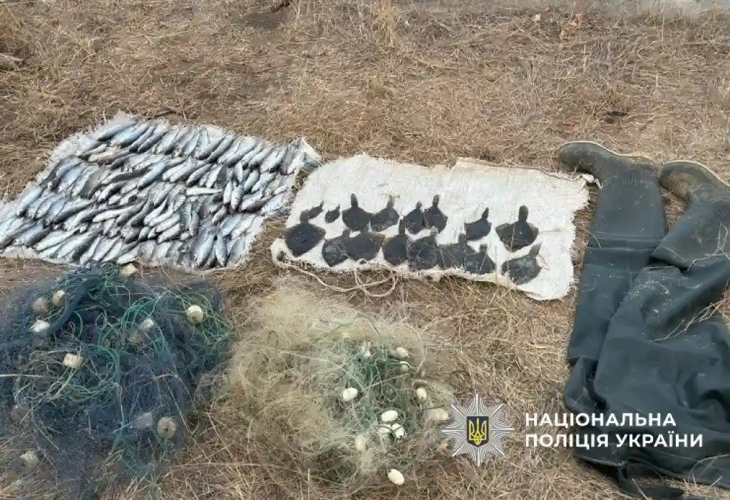В Одеській області знову затримали браконьєра на «Тузлівських лиманах»