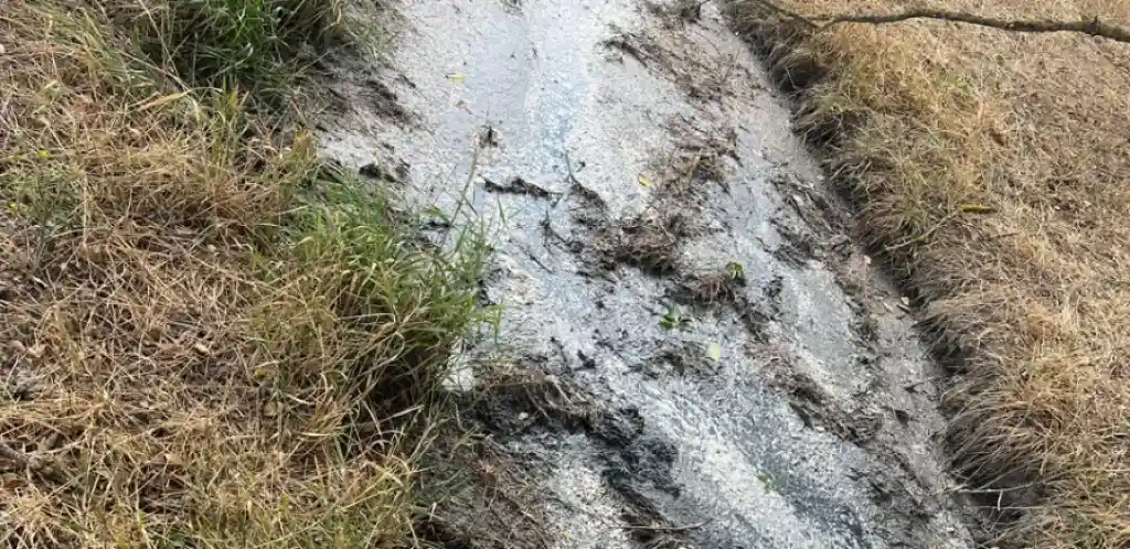 На Одещині річка перетворилася на смердючий стік через відходи сироробного заводу