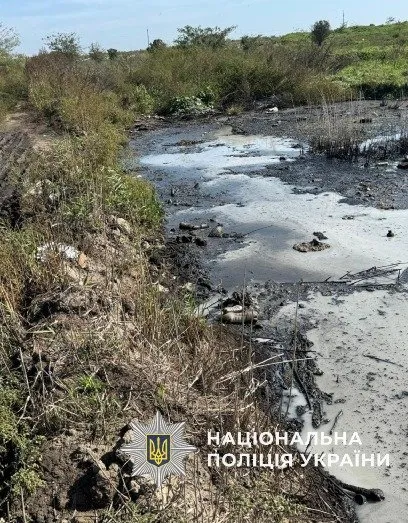 На Одещині екскерівник підприємства отруїв землю на 23 мільйони: суд виніс вирок На Одещині екскерівник підприємства отруїв землю на 23 мільйони: суд виніс вирок