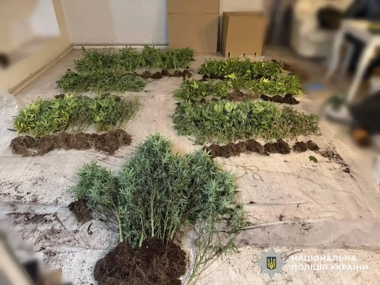 Нацполіція знешкодила міжнародний наркокартель: в Одесі та Києві вилучили кокаїн на 27 мільйонів гривень