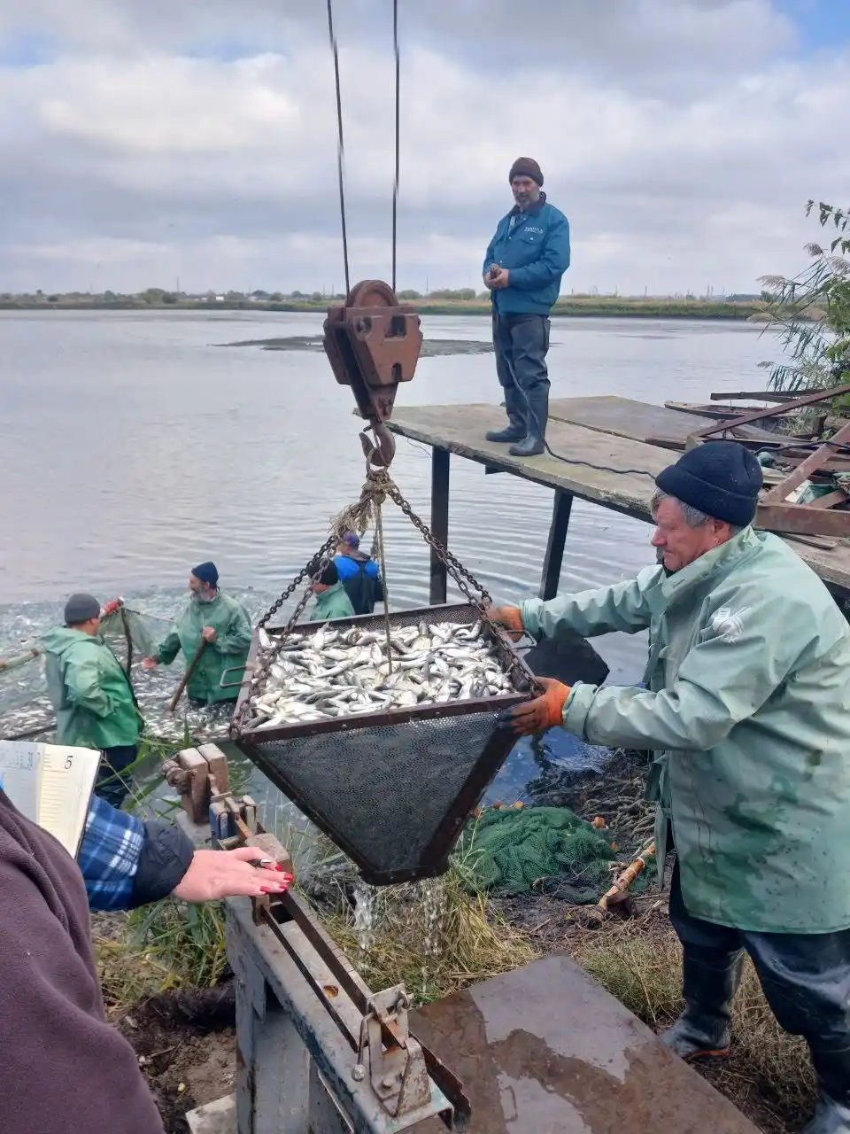На Одещині розпочали масштабне зариблення озер: до кінця року випустять 3 мільйони рибин На Одещині розпочали масштабне зариблення озер: до кінця року випустять 3 мільйони рибин