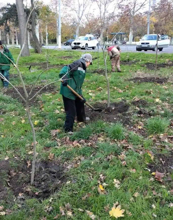 У дендропарку Перемоги висадили нові дерева та десятки декоративних рослин