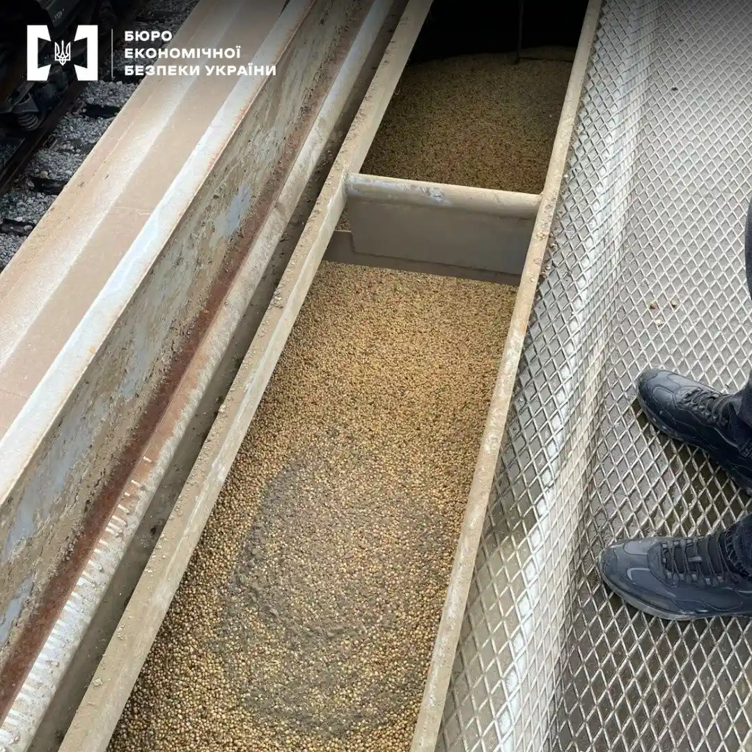 Понад 7,5 тисячі тонн сої не дісталися закордону: в Одеському порту викрили схему тіньового експорту