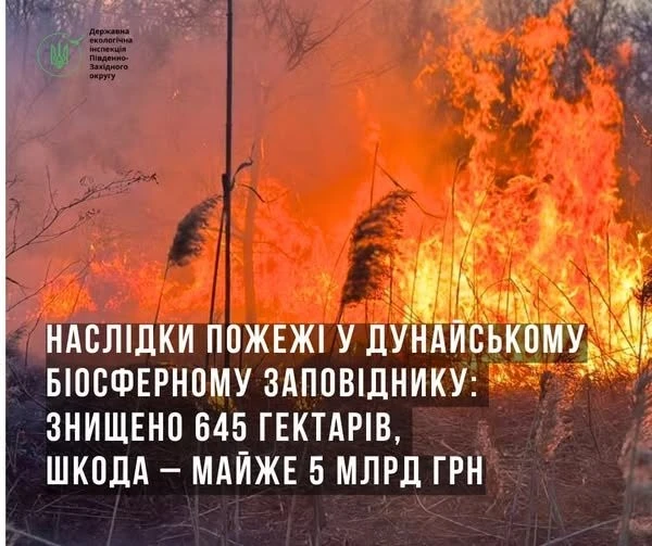 Полум’я в дельті Дунаю: у заповіднику вигоріли сотні гектарів плавнів