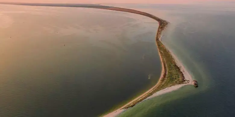 Чорне море під вогнем: що війна зробила з заповідними водами біля Одеси