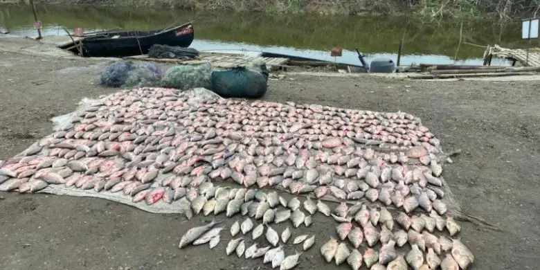 Дві водойми, дві справи: на півдні Одещини викрили масштабне браконьєрство