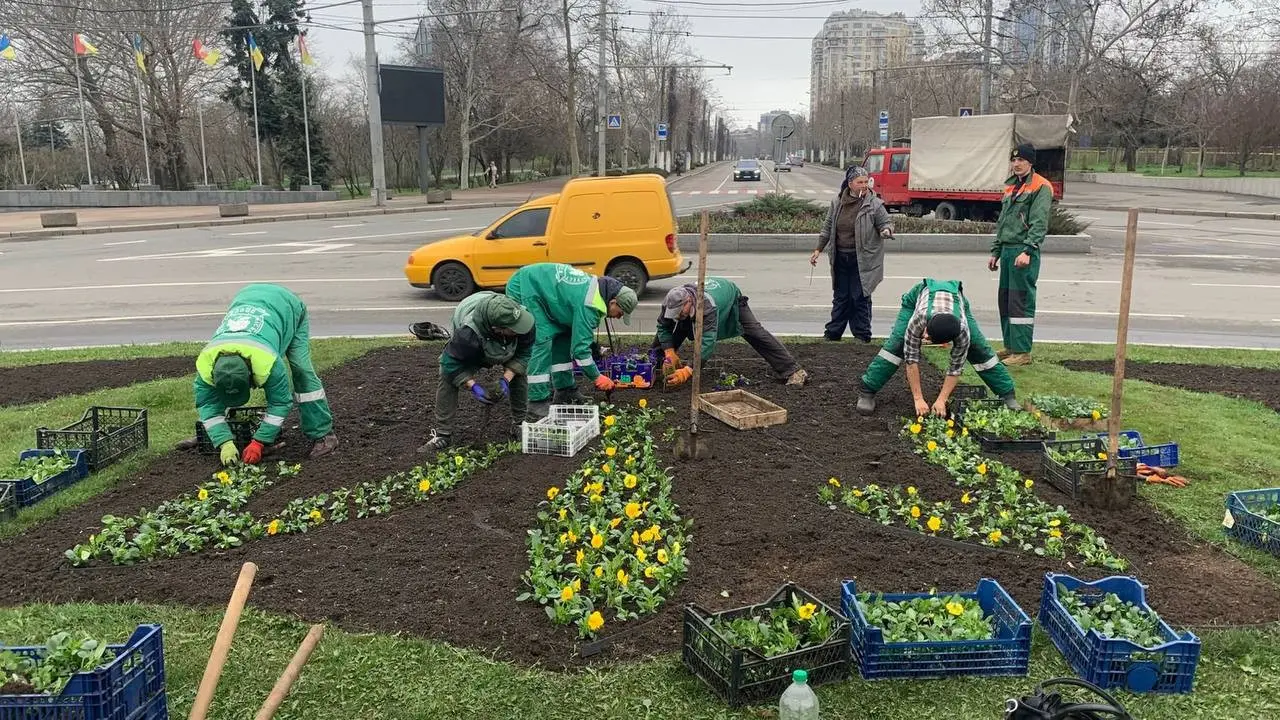 Одеса розквітає: площу Десятого квітня прикрашають символічними візерунками