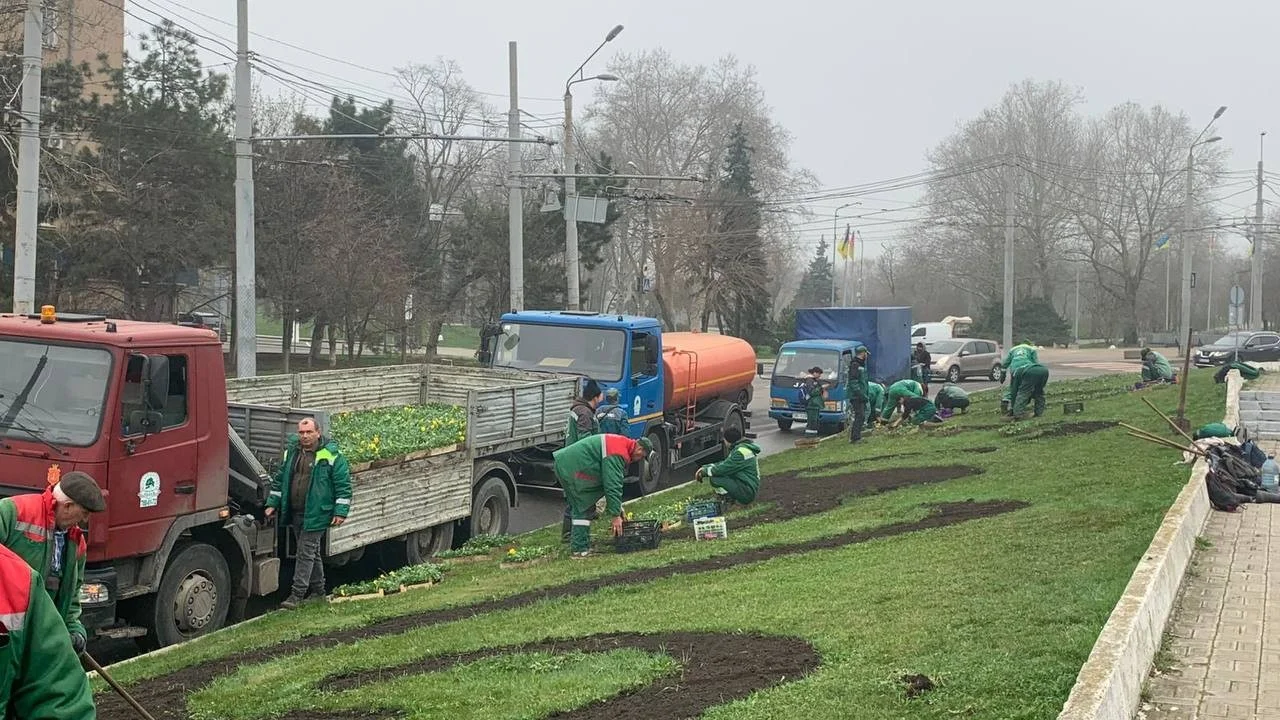 Одеса розквітає: площу Десятого квітня прикрашають символічними візерунками