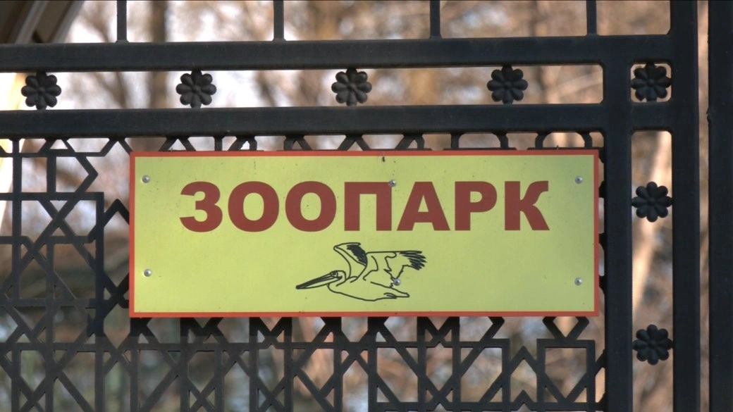 Доля Одеського зоопарку: містяни зібрали голоси за збереження керівництва та відмову від переїзду