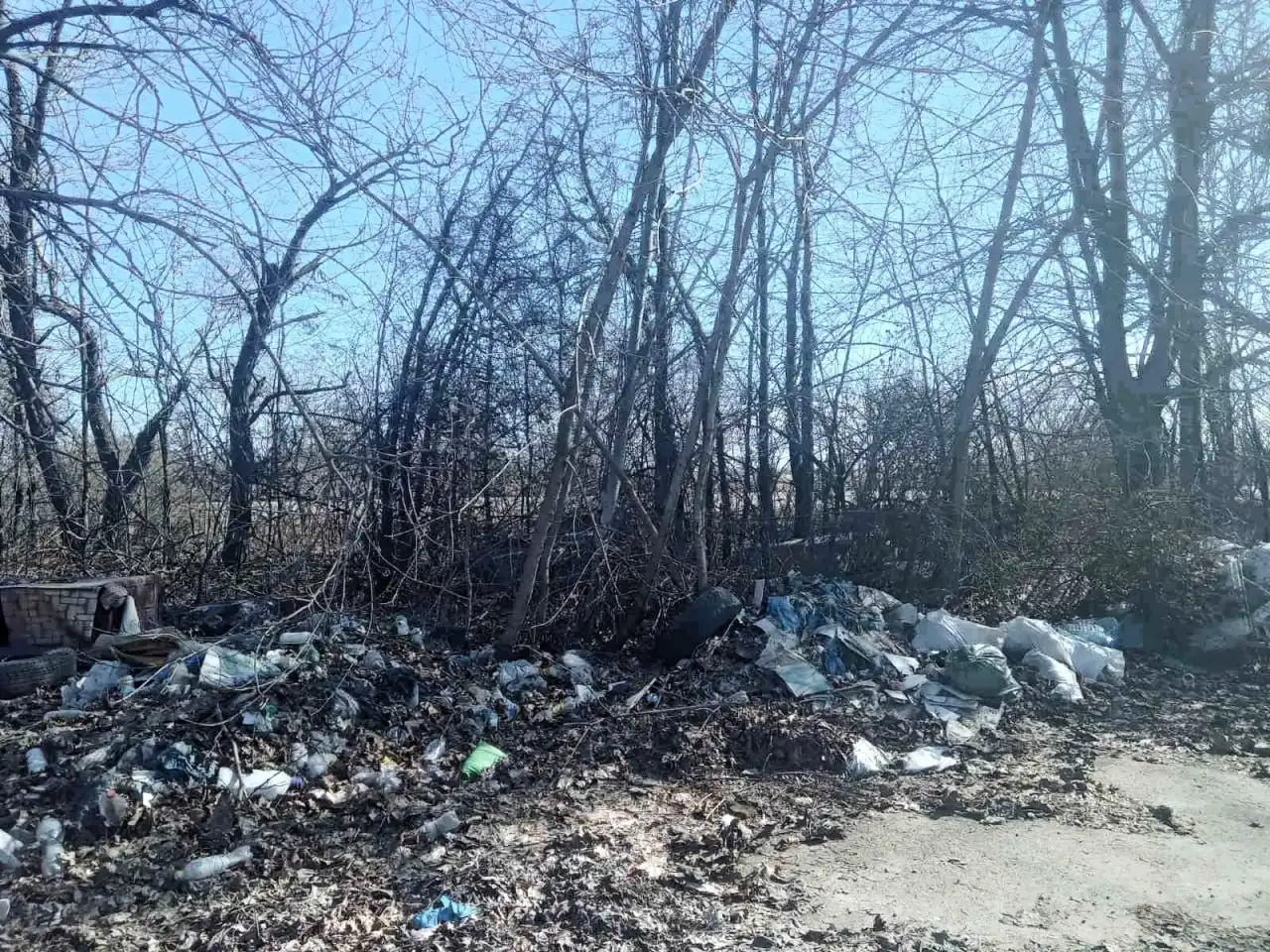 Чисте повітря замість відходів: у промзоні Одеси прибрали нелегальні звалища